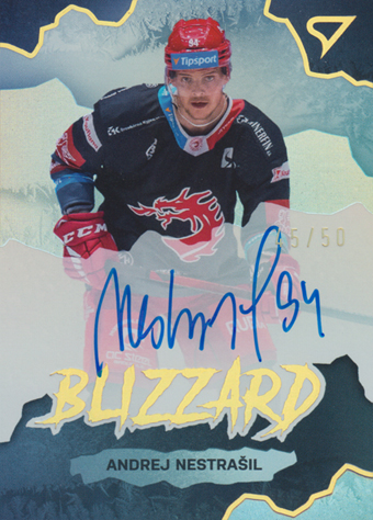 Nestrašil Andrej 22-23 Tipsport Extraliga Blizzard Auto #BLS-AN