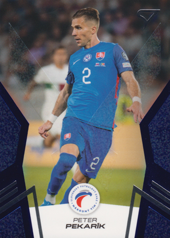 Pekarík Peter 2024 Slovenskí Sokoli Blue #9