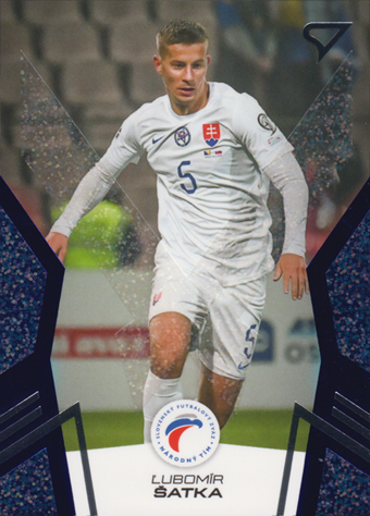 Šatka Ľubomír 2024 Slovenskí Sokoli Blue #10