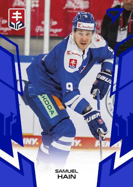 Hain Samuel 2024 Hokejové Slovensko Blue #14