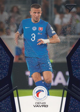Vavro Denis 2024 Slovenskí Sokoli Blue #14