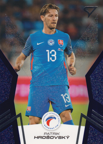 Hrošovský Patrik 2024 Slovenskí Sokoli Blue #21