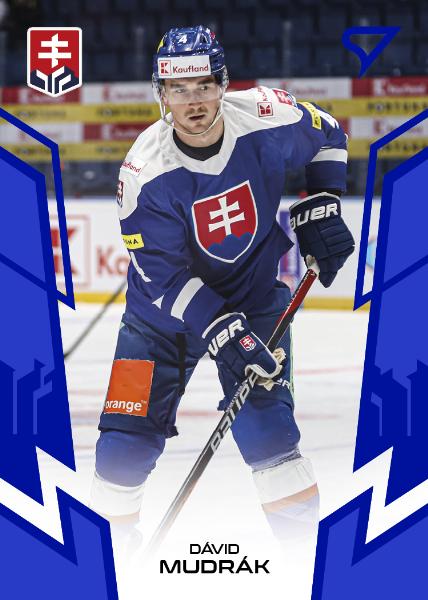 Mudrák Dávid 2024 Hokejové Slovensko Blue #21