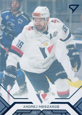 Meszároš Andrej 20-21 Tipos Extraliga Blue #23