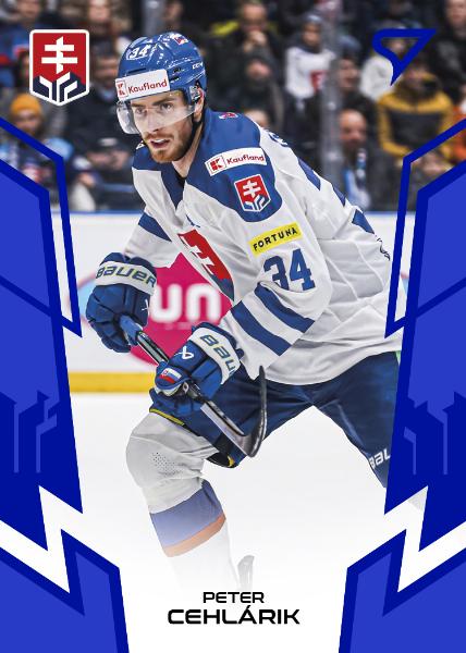 Cehlárik Peter 2024 Hokejové Slovensko Blue #26