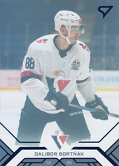 Bortňák Dalibor 20-21 Tipos Extraliga Blue #27