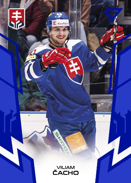 Čacho Viliam 2024 Hokejové Slovensko Blue #28