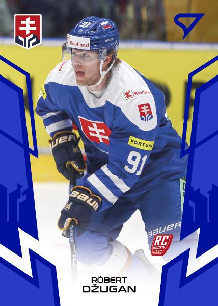 Džugan Róbert 2024 Hokejové Slovensko Blue #29