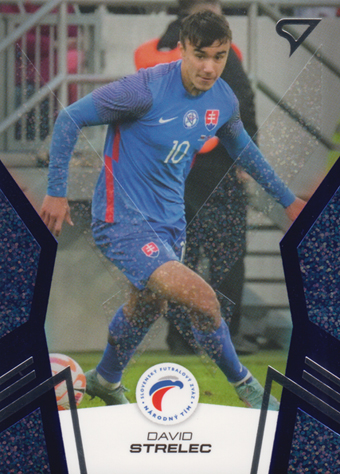 Strelec David 2024 Slovenskí Sokoli Blue #33