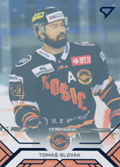 Slovák Tomáš 20-21 Tipos Extraliga Blue #44