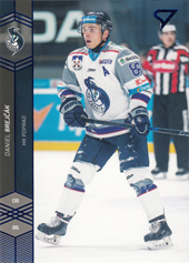 Brejčák Daniel 18-19 Tipsport Liga Blue #97