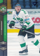 Ordzovenský Peter 18-19 Tipsport Liga Blue #134