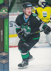 Zbořil Adam 18-19 Tipsport Liga Blue #138