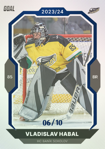 Habal Vladislav 23-24 GOAL Cards Chance liga Blue #156