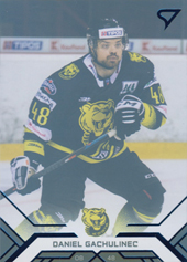 Gachulinec Daniel 20-21 Tipos Extraliga Blue #183