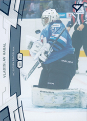 Habal Vladislav 19-20 Tipsport Liga Blue #199