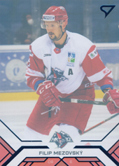 Mezovský Filip 20-21 Tipos Extraliga Blue #203