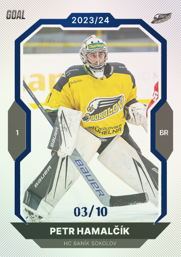 Hamalčík Petr 23-24 GOAL Cards Chance liga Blue #358