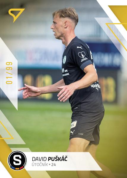 Puškáč David 22-23 Fortuna Liga Gold #174