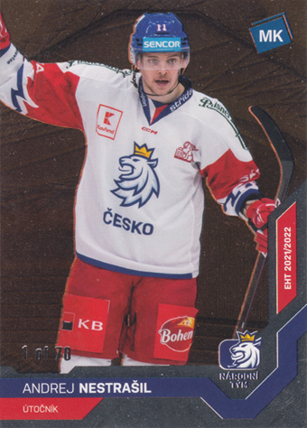 Nestrašil Andrej 2022 MK Reprezentace Bronze #10