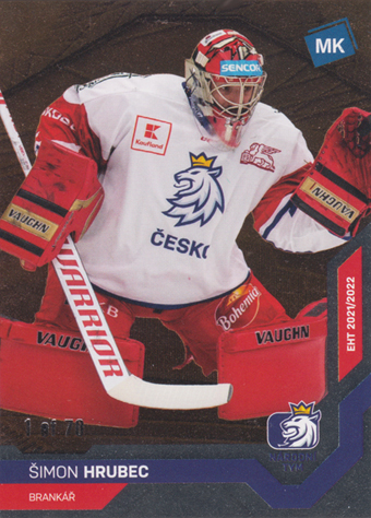 Hrubec Šimon 2022 MK Reprezentace Bronze #34