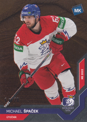 Špaček Michael 2022 MK Reprezentace Bronze #53