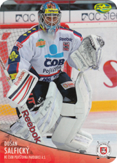 Salfický Dušan 12-13 OFS Plus Die-Cut #52