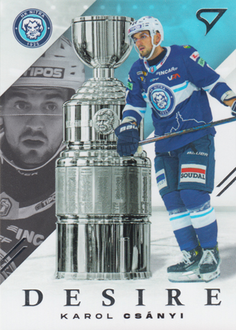 Csányi Karol 24-25 Tipos Extraliga Desire #DE-01