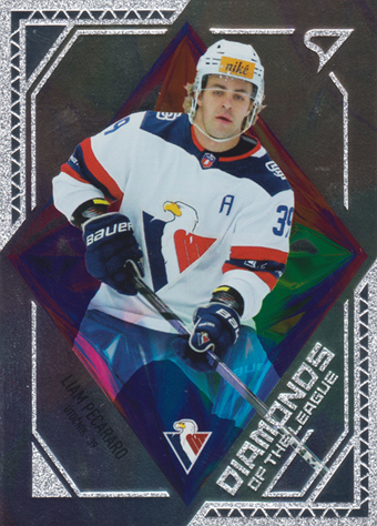 Pecararo Liam 24-25 Tipos Extraliga Diamonds of the League #DL-14