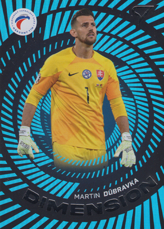 Dúbravka Martin 2024 Slovenskí Sokoli Dimension Level 1 #DM-01
