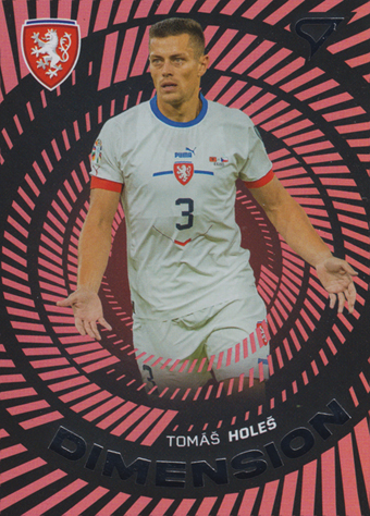 Holeš Tomáš 2024 Hrdí Lvi Dimension Level 1 #DM-05