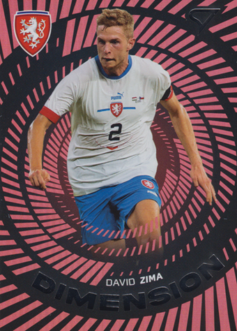 Zima David 2024 Hrdí Lvi Dimension Level 1 #DM-07