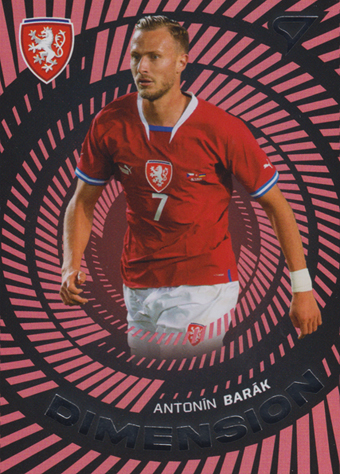 Barák Antonín 2024 Hrdí Lvi Dimension Level 1 #DM-08