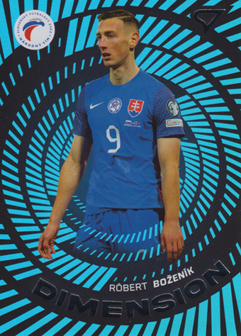 Boženík Róbert 2024 Slovenskí Sokoli Dimension Level 1 #DM-15