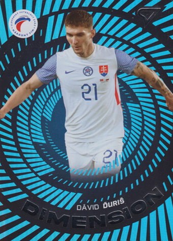 Ďuriš Dávid 2024 Slovenskí Sokoli Dimension Level 1 #DM-16