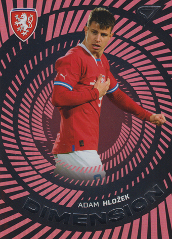 Hložek Adam 2024 Hrdí Lvi Dimension Level 1 #DM-16