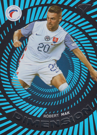 Mak Róbert 2024 Slovenskí Sokoli Dimension Level 1 #DM-17