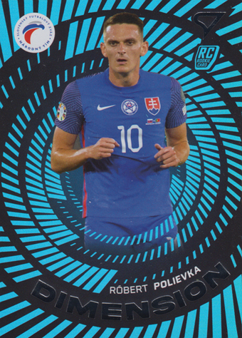 Polievka Róbert 2024 Slovenskí Sokoli Dimension Level 1 #DM-18