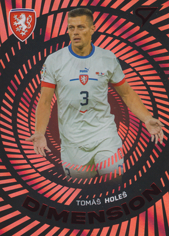 Holeš Tomáš 2024 Hrdí Lvi Dimension Level 2 #DM-05