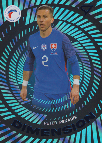 Pekarík Peter 2024 Slovenskí Sokoli Dimension Level 2 #DM-05
