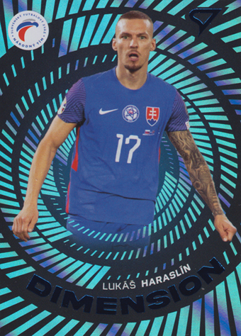 Haraslín Lukáš 2024 Slovenskí Sokoli Dimension Level 2 #DM-10