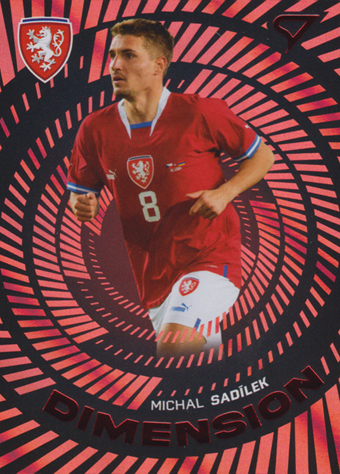 Sadílek Michal 2024 Hrdí Lvi Dimension Level 2 #DM-13