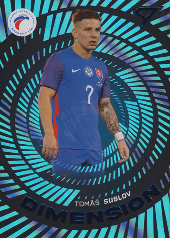 Suslov Tomáš 2024 Slovenskí Sokoli Dimension Level 2 #DM-14