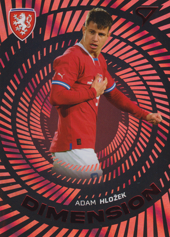 Hložek Adam 2024 Hrdí Lvi Dimension Level 2 #DM-16