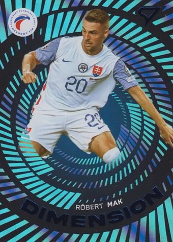 Mak Róbert 2024 Slovenskí Sokoli Dimension Level 2 #DM-17