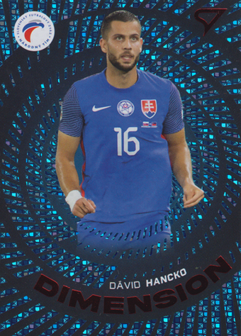 Hancko Dávid 2024 Slovenskí Sokoli Dimension Level 3 #DM-04