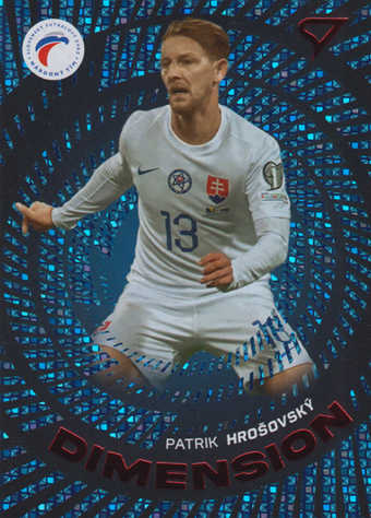 Hrošovský Patrik 2024 Slovenskí Sokoli Dimension Level 3 #DM-11