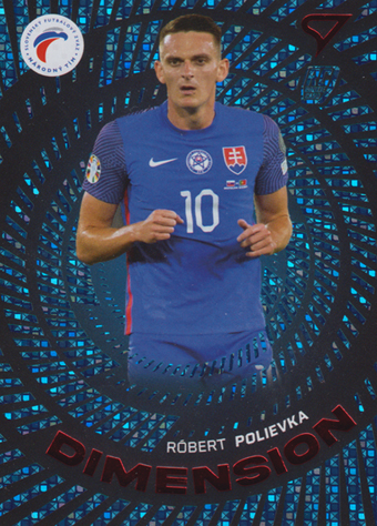 Polievka Róbert 2024 Slovenskí Sokoli Dimension Level 3 #DM-18