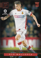 Budimir Ante 19-20 Panini Chronicles #397
