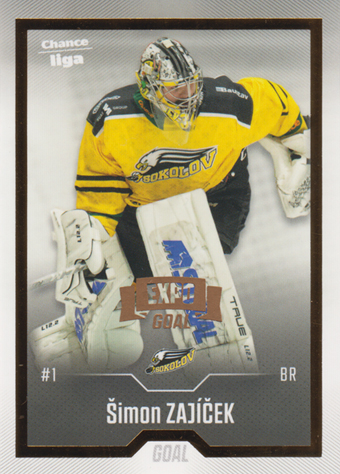 Zajíček Šimon 22-23 GOAL Cards Chance liga EXPO Pardubice Gold #232